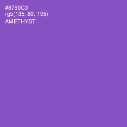#8750C3 - Amethyst Color Image