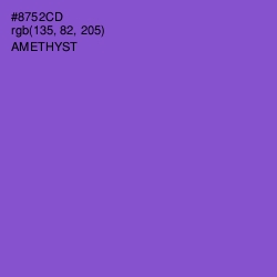 #8752CD - Amethyst Color Image