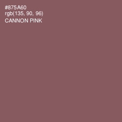 #875A60 - Cannon Pink Color Image