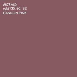 #875A62 - Cannon Pink Color Image