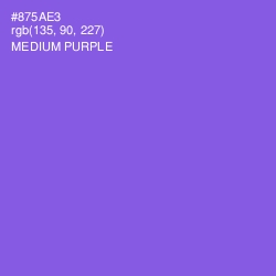 #875AE3 - Medium Purple Color Image