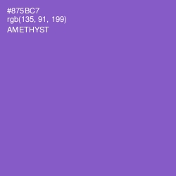 #875BC7 - Amethyst Color Image