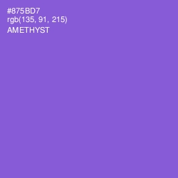 #875BD7 - Amethyst Color Image