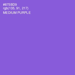 #875BD9 - Medium Purple Color Image