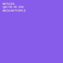 #875CEA - Medium Purple Color Image