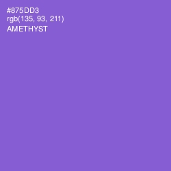 #875DD3 - Amethyst Color Image