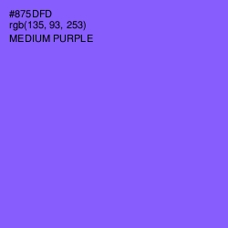 #875DFD - Medium Purple Color Image