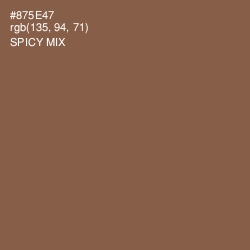 #875E47 - Spicy Mix Color Image