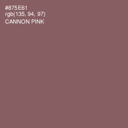 #875E61 - Cannon Pink Color Image