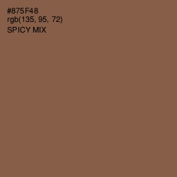 #875F48 - Spicy Mix Color Image