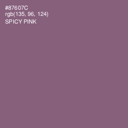 #87607C - Spicy Pink Color Image