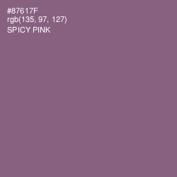 #87617F - Spicy Pink Color Image