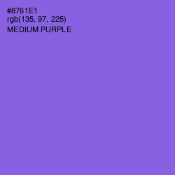 #8761E1 - Medium Purple Color Image