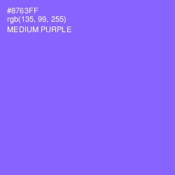 #8763FF - Medium Purple Color Image