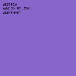 #8765CA - Amethyst Color Image