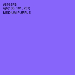 #8765FB - Medium Purple Color Image