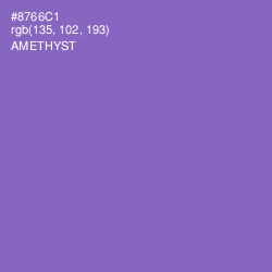 #8766C1 - Amethyst Color Image