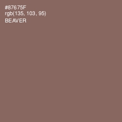 #87675F - Beaver Color Image