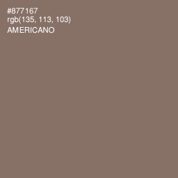 #877167 - Americano Color Image