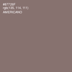 #87726F - Americano Color Image