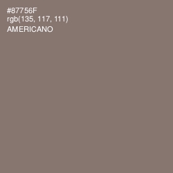 #87756F - Americano Color Image