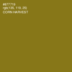 #877719 - Corn Harvest Color Image