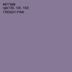 #877898 - Trendy Pink Color Image