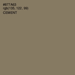 #877A63 - Cement Color Image