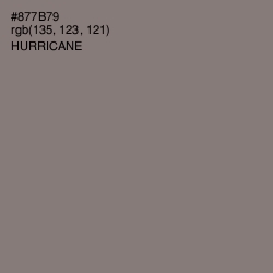 #877B79 - Hurricane Color Image