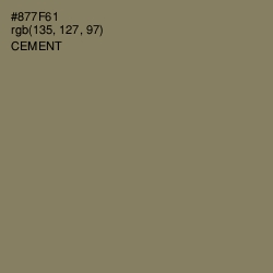 #877F61 - Cement Color Image