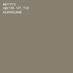 #877F70 - Hurricane Color Image