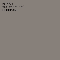 #877F79 - Hurricane Color Image