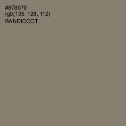 #878070 - Bandicoot Color Image