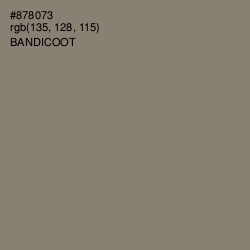 #878073 - Bandicoot Color Image
