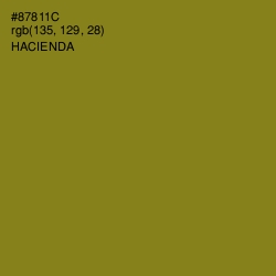 #87811C - Hacienda Color Image