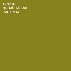 #87811E - Hacienda Color Image