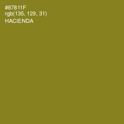 #87811F - Hacienda Color Image