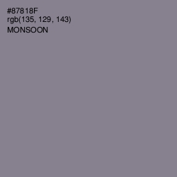 #87818F - Monsoon Color Image