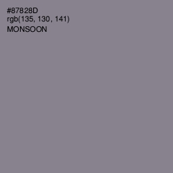 #87828D - Monsoon Color Image