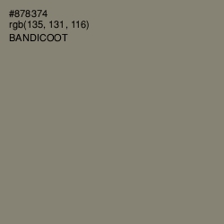 #878374 - Bandicoot Color Image