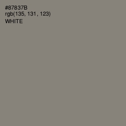 #87837B - Schooner Color Image