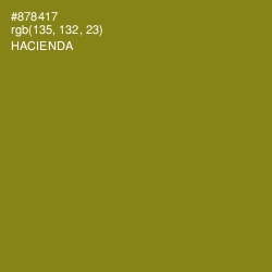 #878417 - Hacienda Color Image