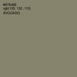 #87846E - Avocado Color Image