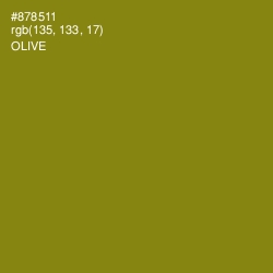 #878511 - Olive Color Image
