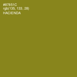 #87851C - Hacienda Color Image