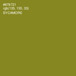 #878721 - Sycamore Color Image
