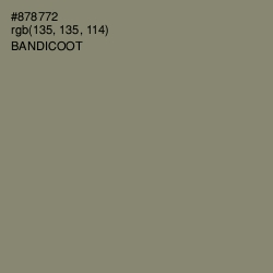#878772 - Bandicoot Color Image