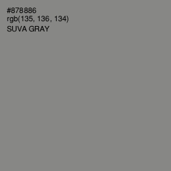 #878886 - Suva Gray Color Image