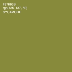 #87893B - Sycamore Color Image