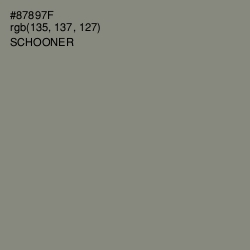 #87897F - Schooner Color Image